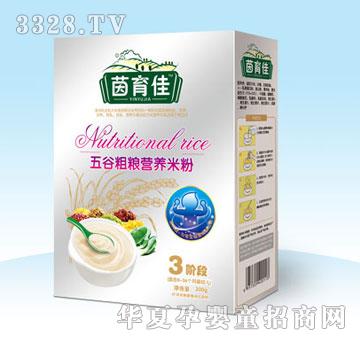 ��������ȴּZ�I�B�׷�