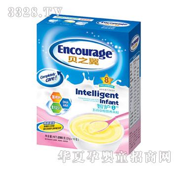 ֮ؐ�����o1+1���bϵ������s�Z�I�B�׷�8+