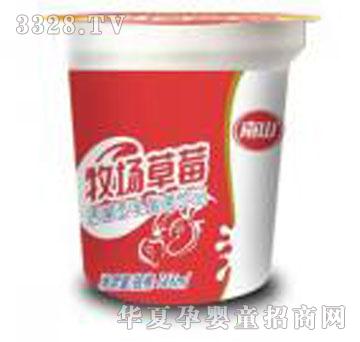 ��ɽ������Ʒ������ݮ