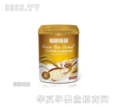 �����������㹽�׷�