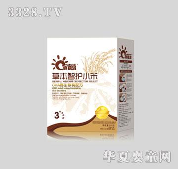 ߹����DHAҰ�����ҠI�B�׷�