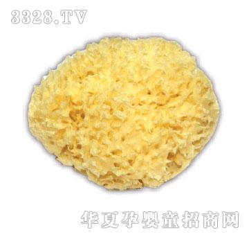 �냺SPA���к��؃��|��d