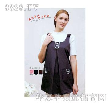 ������ݗ��׻�߅�����R�A30013-1