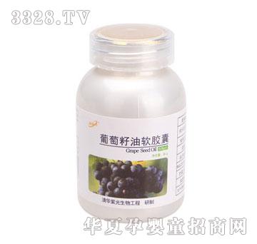 �Ϲ��������������ܛ�z��