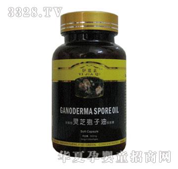 �����H�`֥������