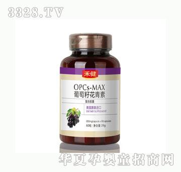 �̽������ѻ����؏ͺ��z��