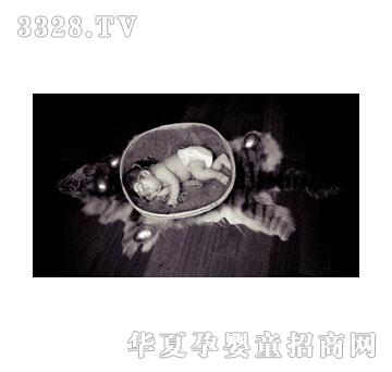 ���w�C(j��)ԭҰ����