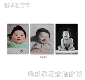 ���w�C(j��)�������L(zh��ng)