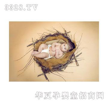 ���w�C(j��)�B������