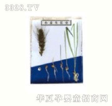 ��|С�����L(zh��ng)ʷ��(bi��o)��