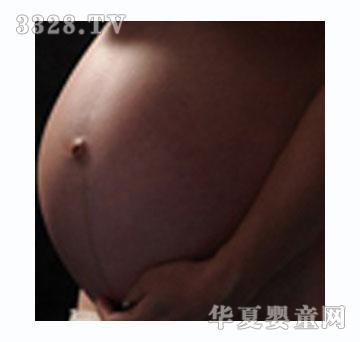 ɭ�ŵً����Ƥ��