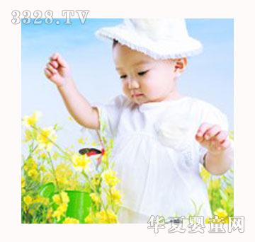 �t�{�ό�������@�L