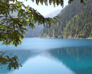 2014���Čóɶ��Ћ�a(ch��n)Ʒ���[���������[��կ��