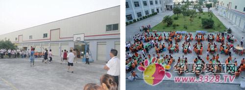 2011������ѹ���Ӱ