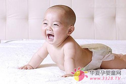 �o(h��)������׌���Č����ļ�������