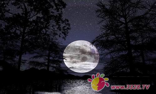 �Ї�(gu��)�˸��ص����﹝(ji��)�L(f��ng)��
