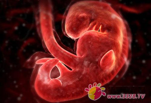 ̥ͣ����ô�k