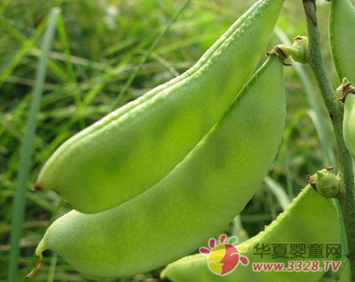 �ⶹ��ʲô�I�B�rֵ