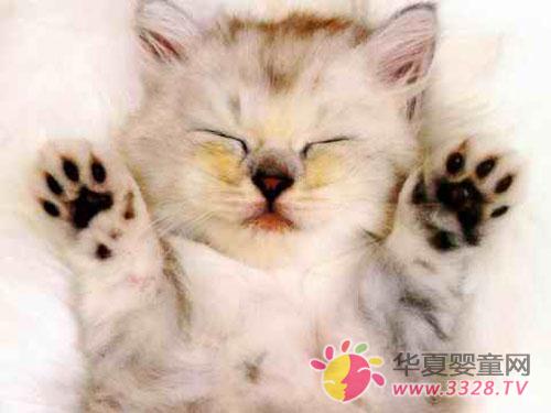 ʲô��؈ץ��