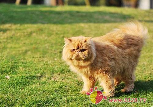 ؈ץ������Щ�Y����F