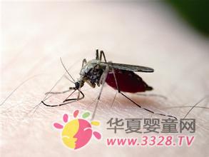 �ļ�֔����������ҧ����ë��