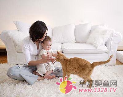 ���B���ӵ�؟���ĸ��������