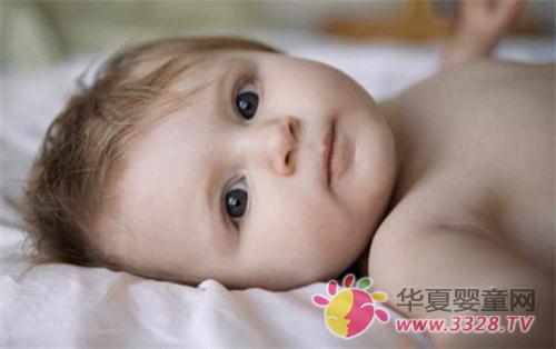 �������N�������ճ����B