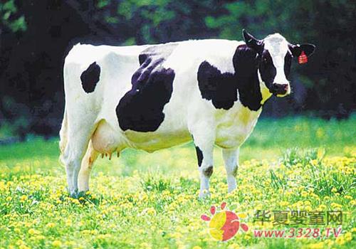 ��Դ��ȫ���̷۰�ȫ���P�I