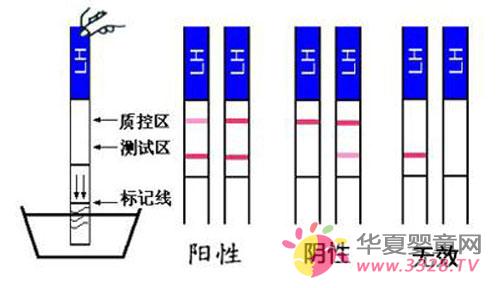 ����ԇ����ô��