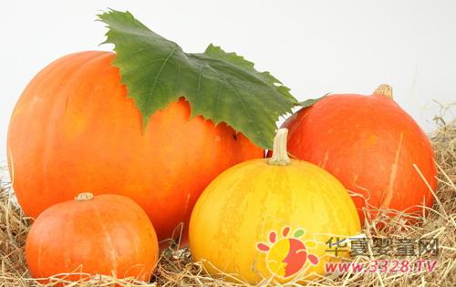 �����Ћ�������֫���[��3��ʳ�V