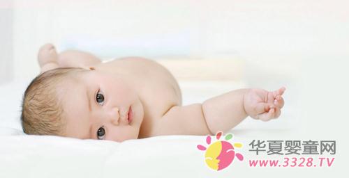 ���������{������Խ�