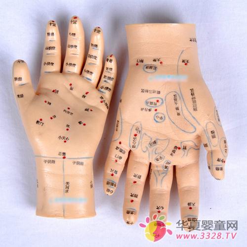 С�����ڿɿ������B