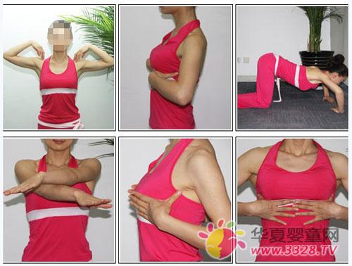 �鷿������