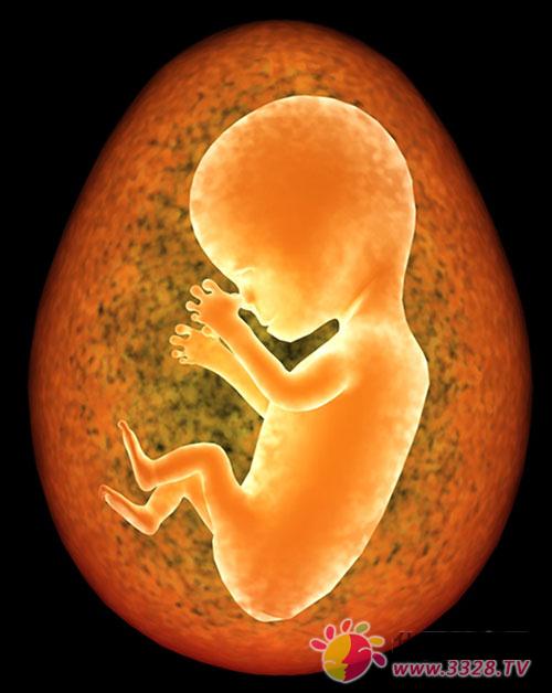 �eС��̥�� ��Ҳ�����o����