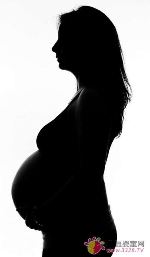 ���������{��