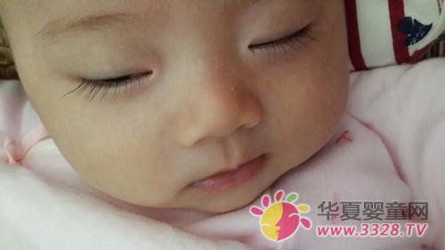 ��������ë��Ε���Ⱦ�۲�