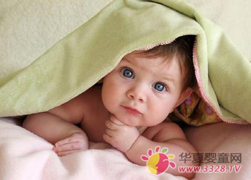 4���o���������������������