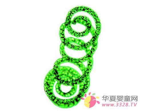 �������������Ʒ�Ј��|���˜ʲ��yһ