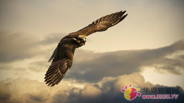 ���m��9����I���У�