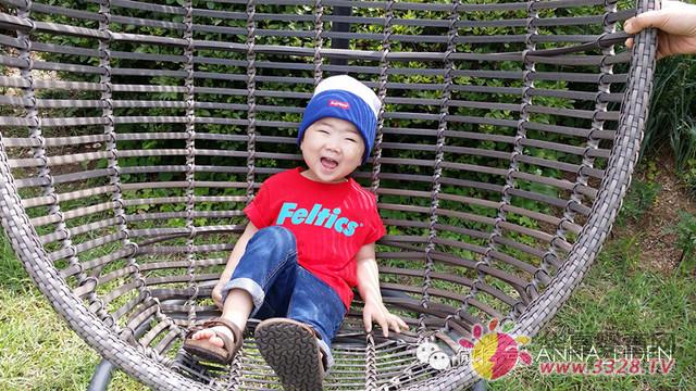 �n��С����̫�����ȡ�����һ����ܰ���&�۵ǡ��{ɫ����һ�ӵľ���