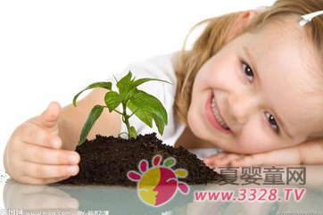 ���P��ʾ���̷���������